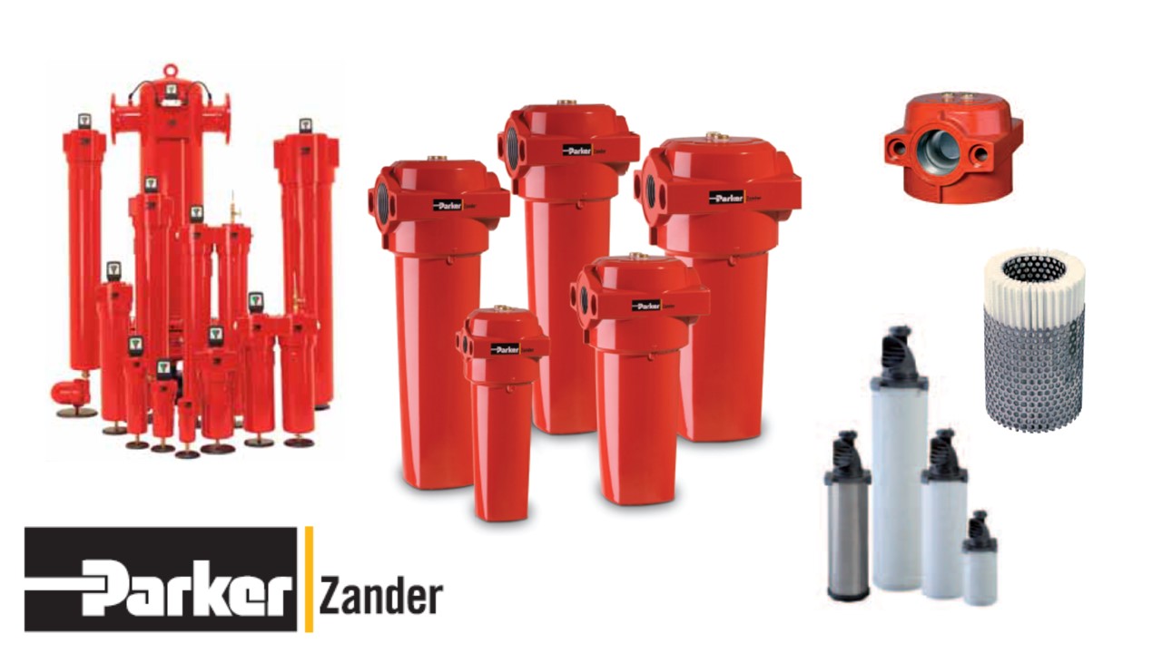 zander